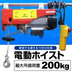 電動ウインチ 100V ホイスト 最大200kg 吊り上げ 吊り下げ クレーン ウインチ 電動ホイスト 家庭用ホイスト 送料無料
