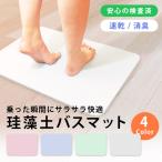 珪藻土バスマット 60cm 珪藻土 バスマット Lサイズ 珪藻土マット お風呂マット 足ふきマット ホワイト ブルー ピンク