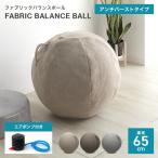バランスボール 65cm カバー付 空気入れポンプ付 ヨガボール 体幹トレーニング フィットネス エクササイズ アンチバースト仕様 ダイエット