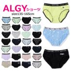 4枚以上で送料無料 下着 肌着 ショーツ アルジー 30柄ショーツ 135cm-165cm アルジー パンツ 肌着 子供服 ブランド 通学 小学生