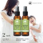 パーフェクトポーション アウトドアボディスプレー エクストラ 125ml 2個