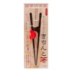イシダ 矯正箸 きちんと箸 おとな用 21cm 右利き 箸