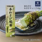  рисовое поле круг магазин головной офис тихий Okamoto васаби ..42g камера васаби приправа 