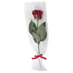 [ затраты ko] один колесо подарок rose 30 пачка комплект красный 