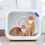 PETKIT домашнее животное осушитель box озон стерилизация режим COPD10PRO
