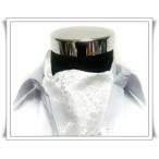  стильный пластрон галстук AS-121