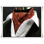  такой же рисунок. pocket square .. имеется. стильный пластрон галстук JDL-12