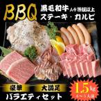 焼肉 肉 牛肉 BBQセット