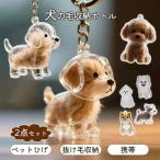 2個セット ペット 遺毛 ケース 透明 ペット 遺毛入れ 犬の毛収納ボトル ペットメモリアルボトル 犬のキーホルダー 毛を保管するボトル かわいい 抜け毛収納