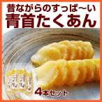 『すっぱい青首たくあん4本セット』 110g×4個 沢庵 ぬか漬け 発酵食品 植物性乳酸菌 古漬け 無添加 乳酸発酵 人気 おすすめ