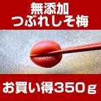 『みちばあちゃんの梅干し「つぶれしそ梅」』 350g 3個まで購入可能 訳あり ワケアリ 人気 おすすめ