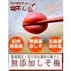 ショッピング梅干し 『みちばあちゃんの梅干し「しそ梅」4個セット』100g×4  無添加 熱中症対策 夏バテ防止 南高梅 柔らかい 昔ながら 紫蘇 すっぱい 甘くない 人気 おすすめ