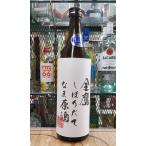 [ сезон ограниченный товар ].. sake структура ястреб . магазин уступать золотой ястреб ... длина ... sake 720ml