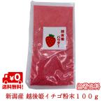 いちご粉末 越後姫 完熟 新潟産100g 1