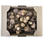  есть перевод таро 2kg Niigata производство . река сельское хозяйство . свежий овощи таро 