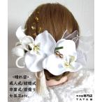 【国産髪飾りTata8】高級造花胡蝶蘭×2 チューリップ 成人式 結婚式 卒業式 卒業袴 振袖 和装 袴 着物 ヘッドドレス 金箔　タッセル チュール 白/ゴールド80d