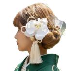 【髪飾りTata8】成人式 振袖 結婚式 卒業式 袴 着物 和装 七五三　前撮り白無垢 胡蝶蘭 蝶結び水引き タッセル　金箔 パール チュール ゴールド/白/シルバー68ah