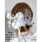 【髪飾り】胡蝶蘭 チューリップ 成人式 結婚式 卒業式 卒業袴 振袖 和装 袴 着物 七五三 ヘッドドレス 蝶結び水引き 金箔　タッセル チュール 白/ゴールド80c