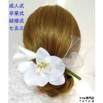 【髪飾りTata8】成人式 振袖 結婚式 卒業式 袴 七五三 造花胡蝶蘭 チューリップ 和装 ウェディングドレス 袴 着物 ヘッドドレス ヘア飾り リボン チュール 白80h
