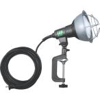 ハタヤ　ＬＥＤ作業灯　２０Ｗ広角タイプＬＥＤランプ付　電線５Ｍ付 (779-7133) (RGL5W)