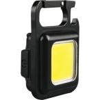 msasi заряжающийся мульти- LED свет 6W маленький размер (COBWL001) (338-8230)