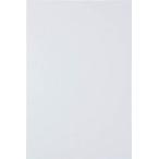 ＴＲＵＳＣＯ　マグネットシート艶無２００Ｘ３００　白 トラスコ中山（株） (MS-N2-W) (414-4830)