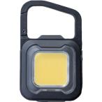 msasi заряжающийся super лампа светодиодной подсветки 6W черный (COBWL005BK) (473-5939)