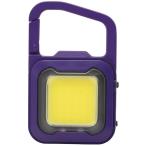 msasi заряжающийся super лампа светодиодной подсветки 6W лиловый (COBWL010PU) (540-0652)