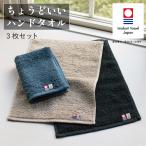 ハンドタオル 3枚セット タオルハンカチ メンズ 今治 個包装 ギフト ブランド 大きめ ギフト 23×32cm Tps-153-3set
