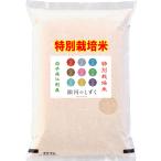 米 5kg 特別栽培米 銀河のしずく 特A 岩手県産 お米 5キロ 令和6年産 玄米 白米 7分づき 5分づき 3分づき オーダー精米 ご注文後に精米 送料無料