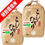 お米 10kg 送料無料-商品画像