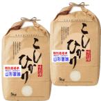 米 10kg 特別栽培米 山形県産 コシヒカリ おきたま指定 お米 10キロ 令和5年産 玄米 白米 7分づき 5分づき 3分づき オーダー精米 ご注文後に精米 5kg×2袋