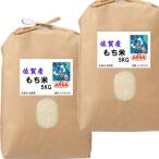 もち米 10kg 佐賀産 特別栽培米 (減農薬栽培米) ヒヨクモチ さがもち よかもち 10キロ 5kg×2袋 送料無料 令和6年産