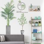 ウォールステッカー新作 観葉植物ボタニカル多肉植物DIY壁紙フォトジェニック