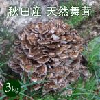  натуральный Mai .3kg[10 месяц сверху . отправка начало ] Akita производство .. длина. натуральный мой take. прохладный рейс .. прямая поставка 