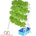 TBH гидропонная культура комплект .... культивирование комплект овощи культивирование комплект салон клубника огород гидропонная культура комплект посадочная машина 36 дыра 