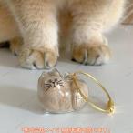  кошка. шерсть место хранения бутылка брелок для ключа 2 шт. комплект кошка. memorial подвеска сувенир прозрачный кошка . собака. шерсть . место хранения симпатичный memorial подарок 