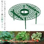  клубника полки клубника посадочная машина полки 10 шт. комплект высота 10cm рассада полки . рассада полки культивирование полки главный . полки садоводство фигурная скобка клубника главный . полки клубника посадочная машина полки клубника главный .