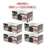カラー不織布マスク ふつうサイズ 50枚入×5個（合計250枚入） 黒 ブラック 高機能99％カット HIRO ヒロコーポレーション 抗菌マスクケース付き