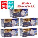 快適ダブルワイヤー不織布マスク 50枚入×5個（合計250枚入り） ふつうサイズ ホワイト 3次元立体構造 抗菌マスクケース付き ヒロコーポレーション