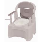 [ бесплатная доставка ][ Ricci .ru] портативный туалет прекрасное платье .PS2 type серый стандартный 47530 426189