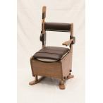 [ бесплатная доставка ][ Panasonic eiji свободный ] мебель style туалет сиденье приятный брызги ..PN-L23416 451541