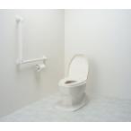 [ бесплатная доставка ][a long ..]sanitali Ace OD без изменений тип слоновая кость 533403 533403