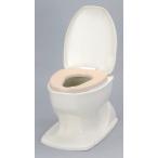 [ бесплатная доставка ][a long ..]sanitali Ace OD soft сиденье для унитаза без изменений тип слоновая кость 533423 005504