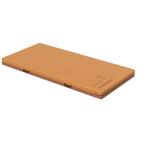 [ бесплатная доставка ][ производитель прямая поставка товар ][pala крепление bed ] ever Fit C3 матрац ( dry модель ) постоянный KE-613UQ 647124