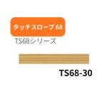 シンエイテクノ タッチスロープ TS68