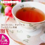 紅茶 ティーバッグ 10個 タロワケル ウォルトリム茶園 PEKOE/2022 茶葉 リーフ