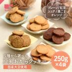 おからクッキー 味が選べる 豆乳おからクッキー 訳あり 1kg 250g×4種 ダイエット ダイエットクッキー ダイエットスイーツ まとめ買い 国産 大豆 ティーライフ