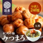 梅干し 訳あり 送料無料 はちみつ 