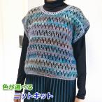 ショッピング毛糸 毛糸 ドミナで編むリピート模様のベスト セット 無料編み図 編み物キット かぎ針編み